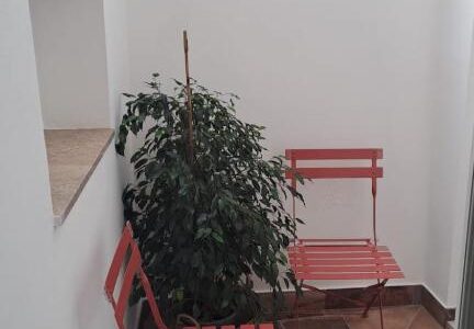 892469996